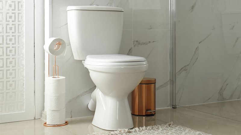 closed toilet in bathroom (Photo by New Africa– stock.adobe.com)