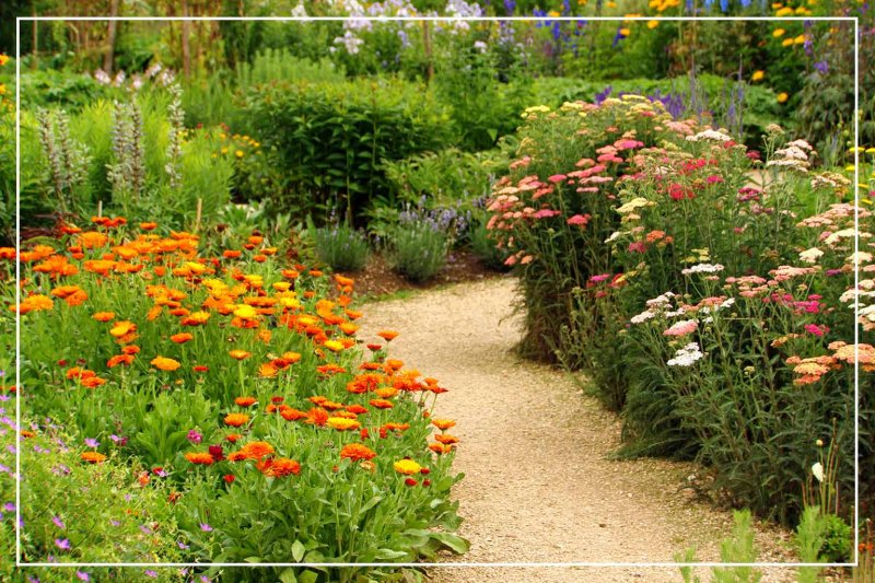 garden walkway with flowers and plants (Photo by fotolinchen/iStock/Getty Images Plus via Getty Images)