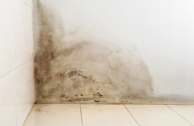water damage on wall (Photo by WS.Design/Shutterstock.com)