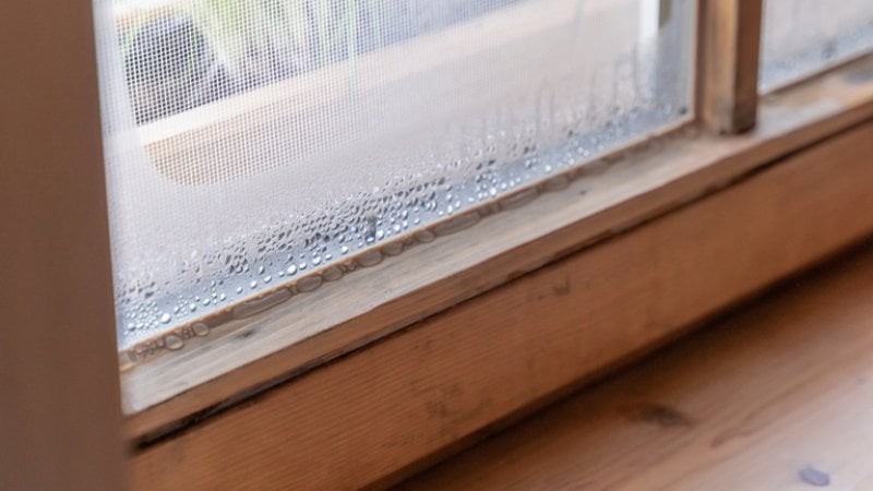 Window with condensation (Photo by Bihlmayer Fotografie/Shutterstock.com)