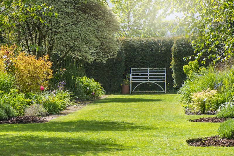 backyard with patches of garden and fence in background (Photo by Jacky Parker Photography/Moment via Getty Images)