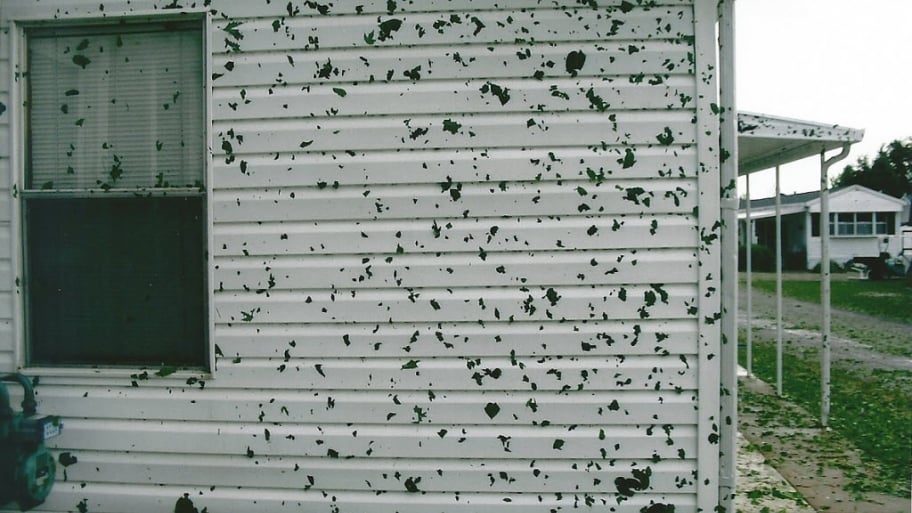 a home with hail damage
