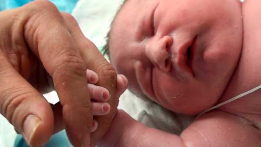 newborn baby holding adult hand