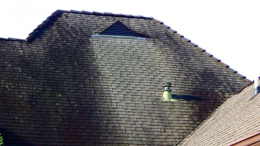 black discoloration on asphalt shingle roof
