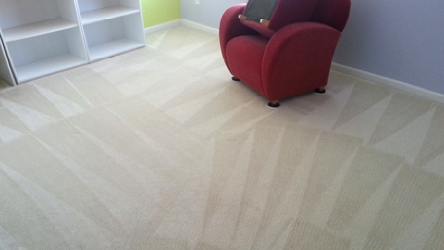 clean carpets to prevent carpet beetles clean carpets to prevent carpet beetles