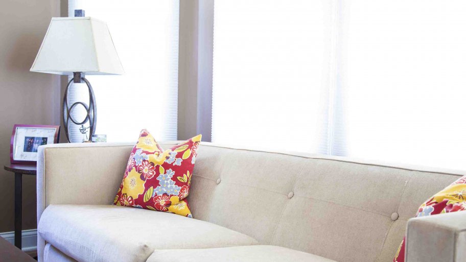 couch with throw pillow