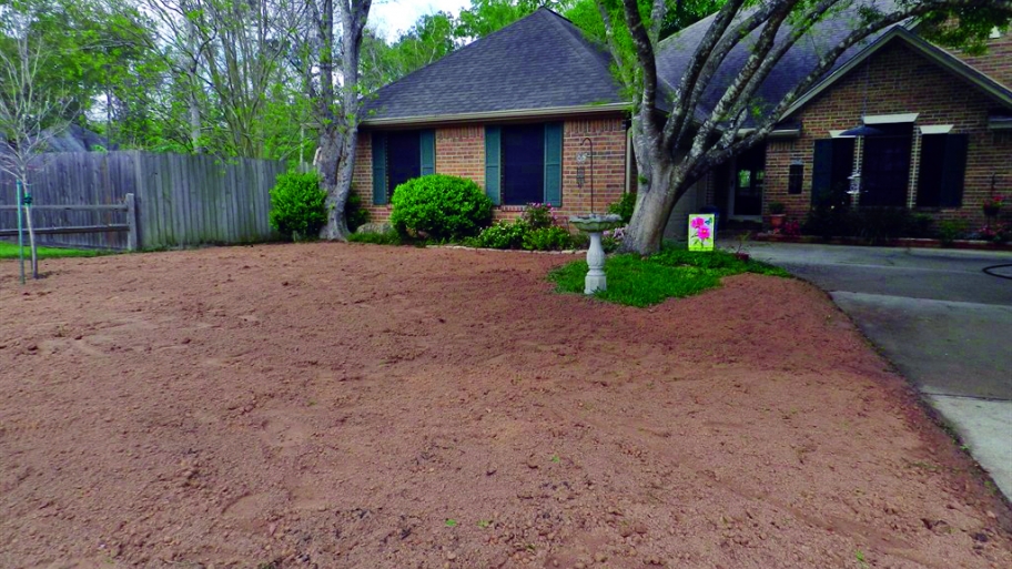 front yard with no grass