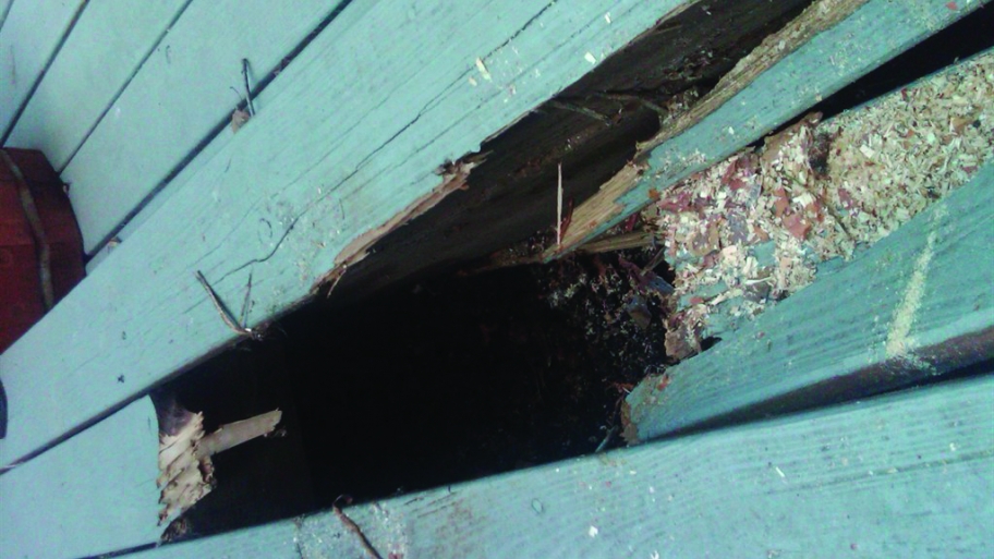broken deck boards