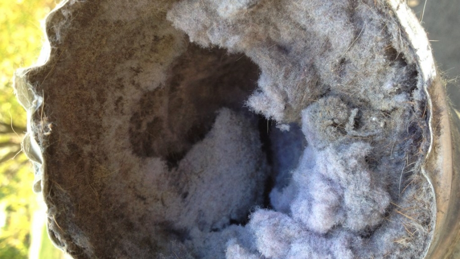 dryer vent clogged with lint