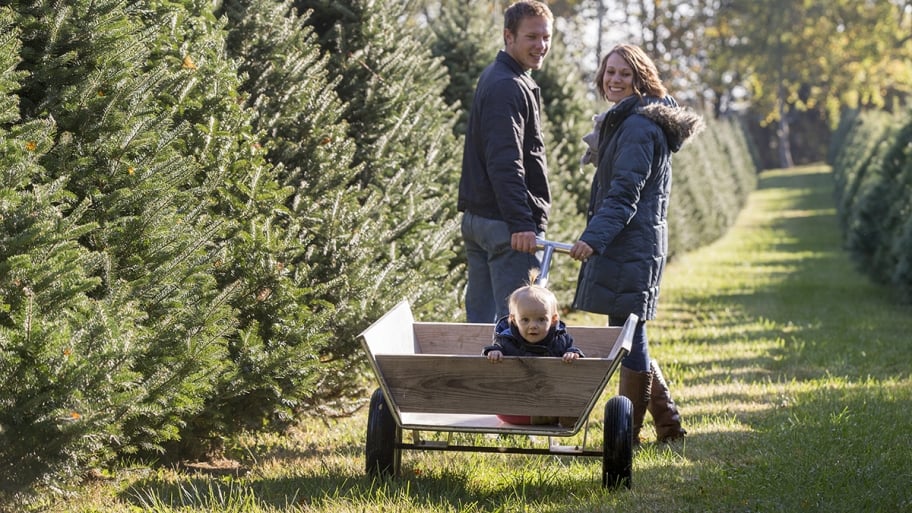 couple at tree farm with baby in cart