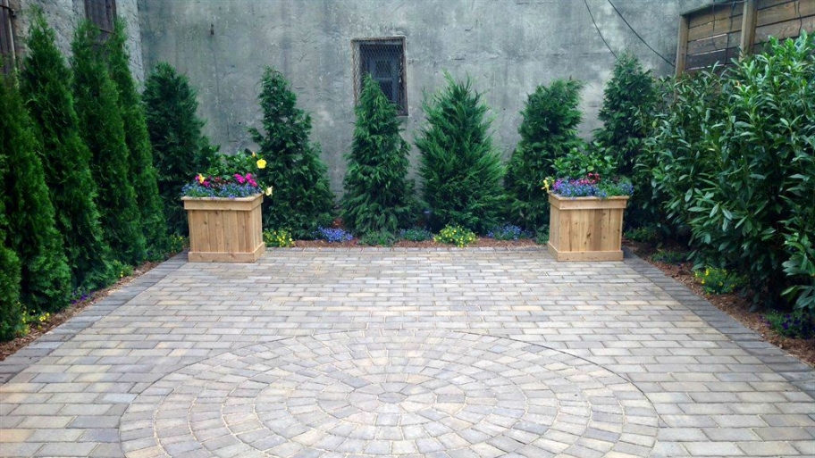 evergreen shrubs
