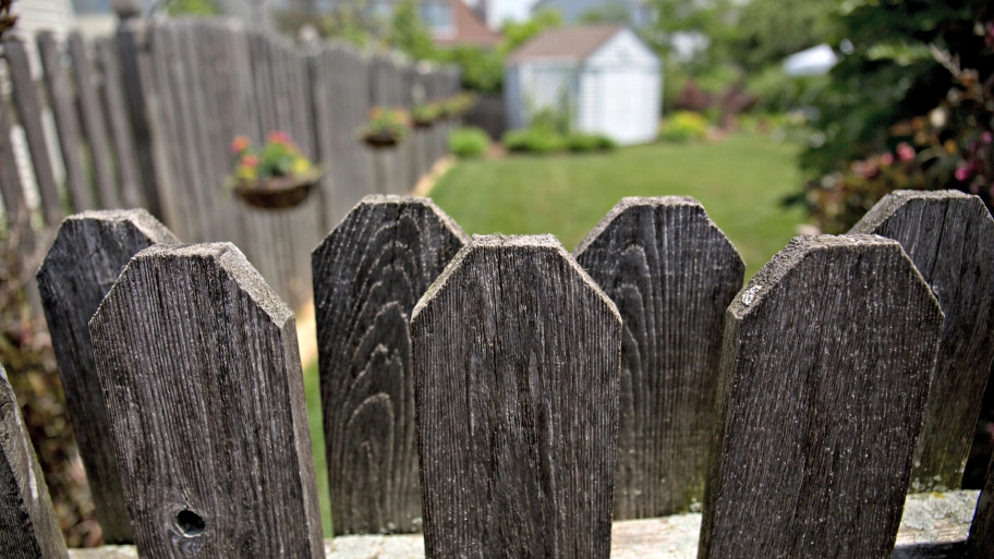 fence enclosing a yard