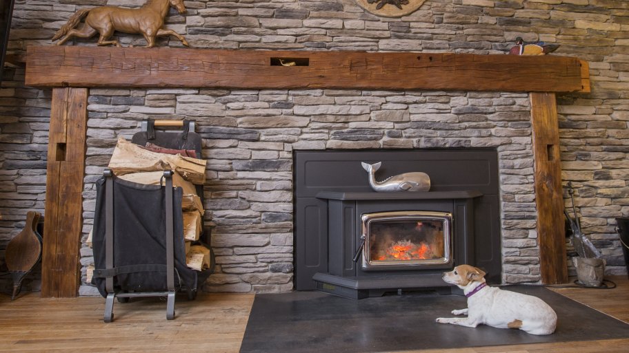 dog in front of fireplace