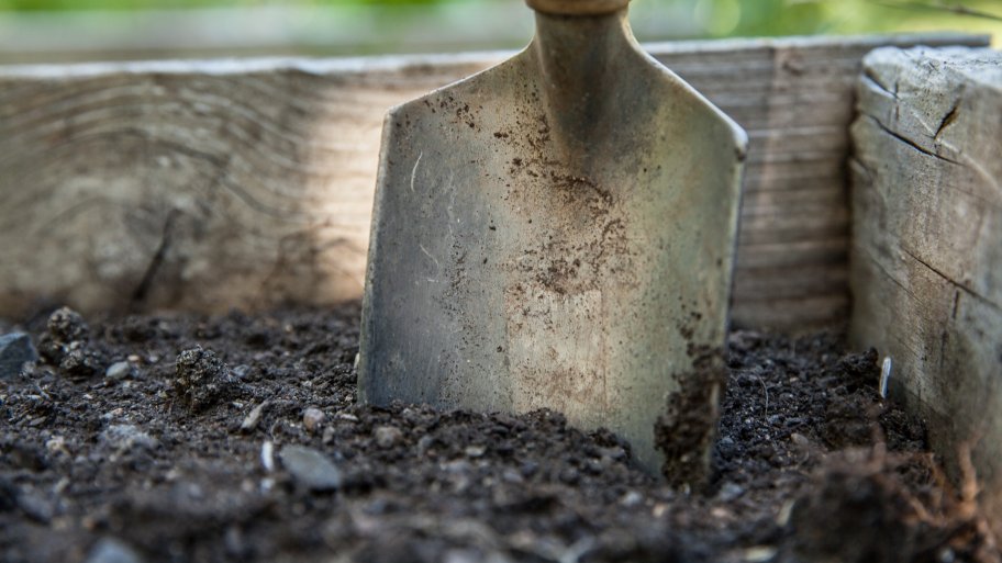 gardening spade in soil