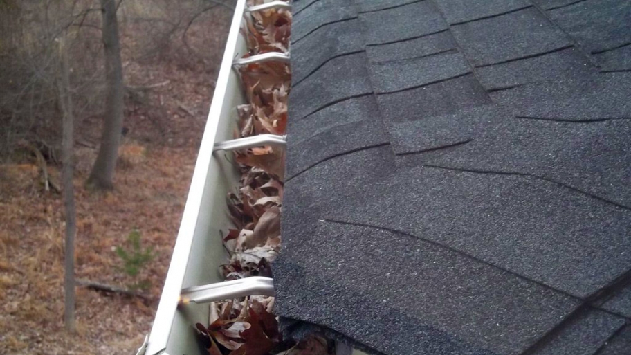 gutter filled with leaves