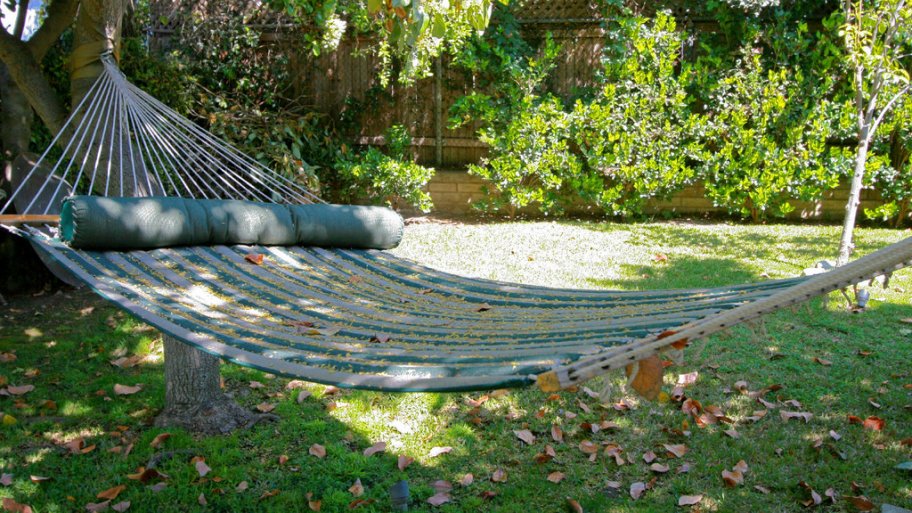 A backyard hammock