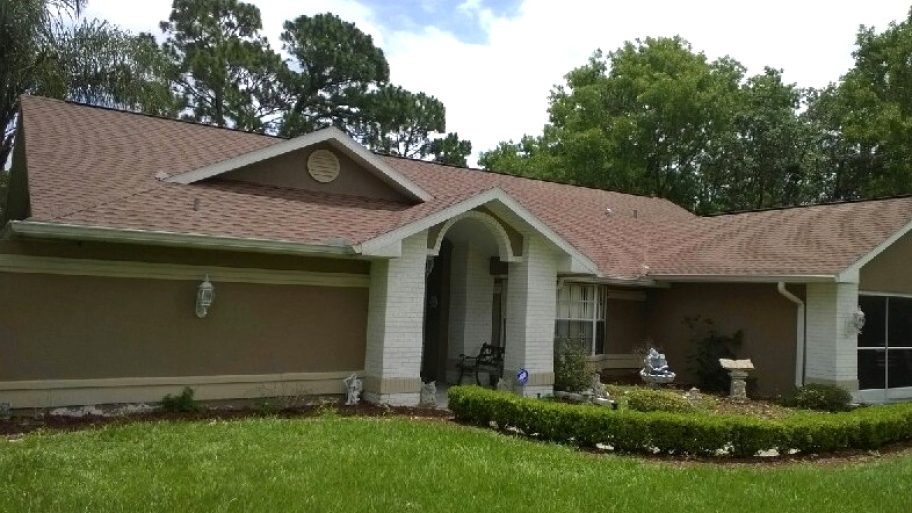 new asphalt shingle roof on home