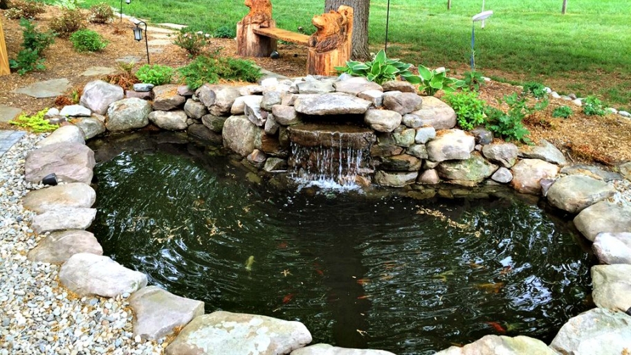 Water Landscaping A Beginner S Guide To Koi Ponds Angi Angie List Guide To Koi Ponds, Patio Fish Pond