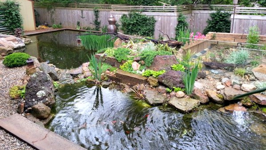 water feature in yard