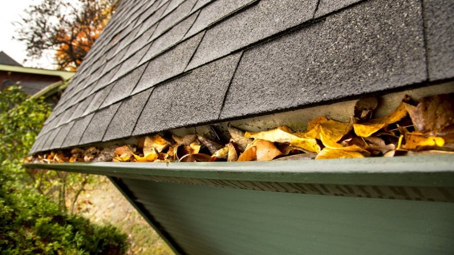 gutter filled with fallen leaves