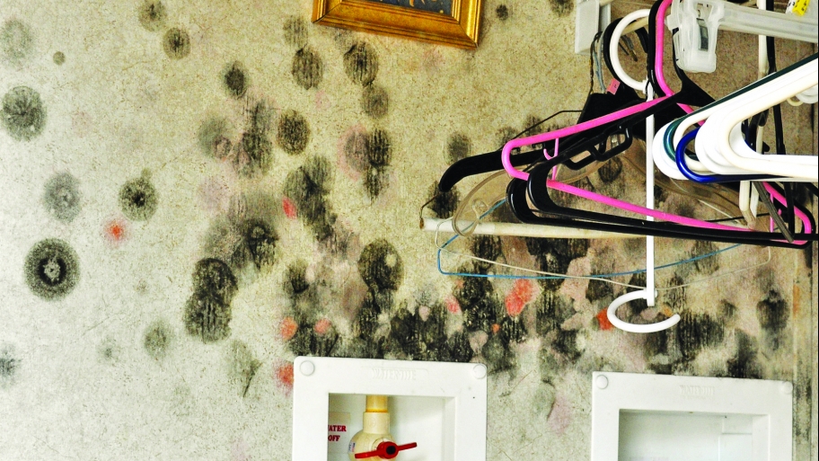 mold on a closet wall