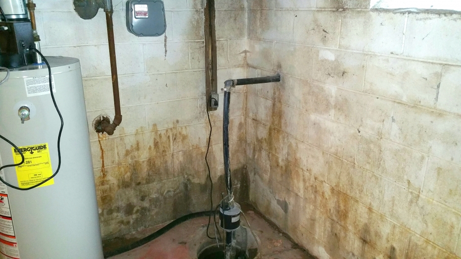 mold in home basement
