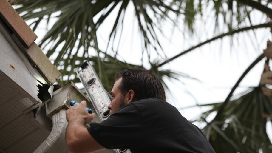 An exterminator checks a roof