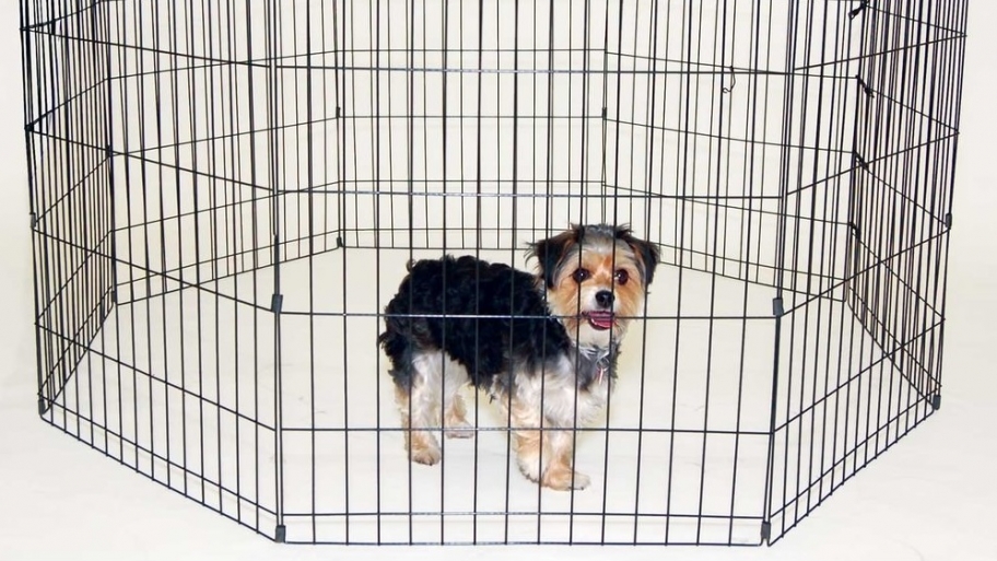 portable pet fence and playpen