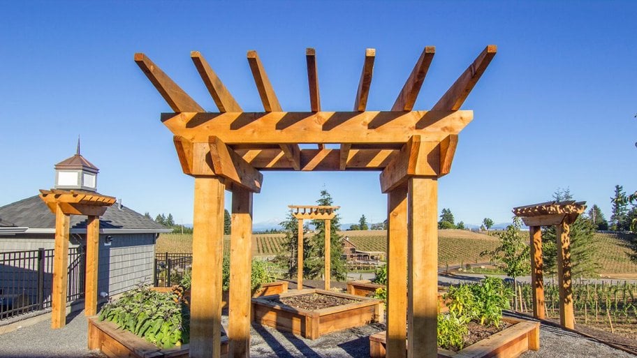 Redwood pergola in backyard