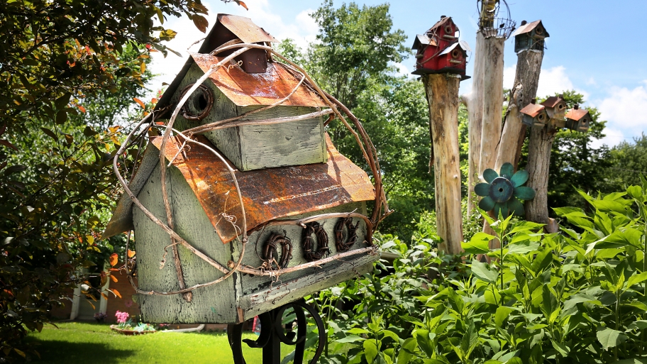 bird houses in a Rocky Ripple yard