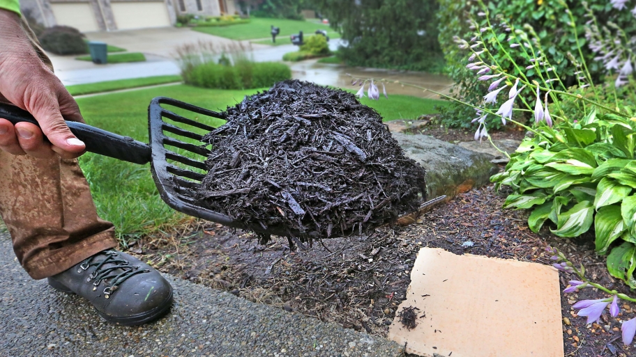 Learn How to Sheet Mulch for Free Angi [Angie's List]