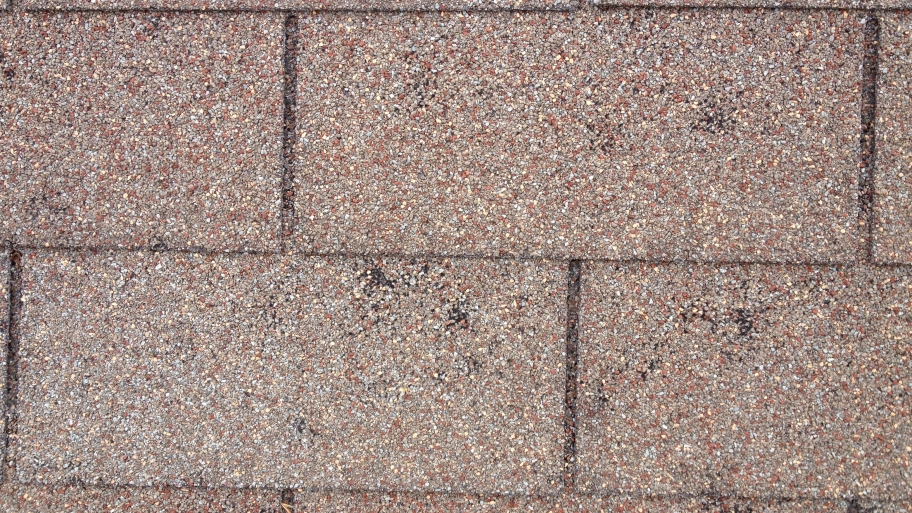 close up of hail damage to a shingle roof
