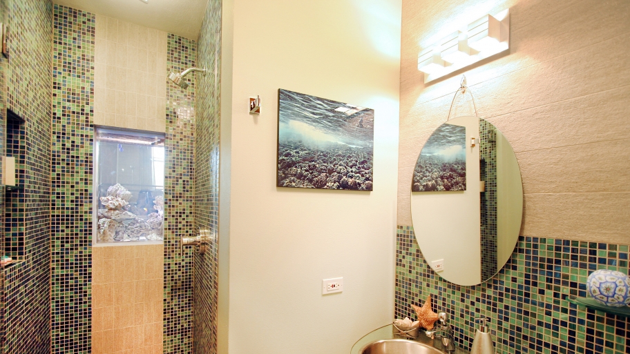shower with fish tank