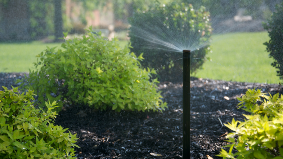 tall sprinkler head spraying bushes in mulch bed