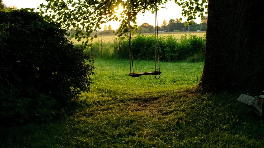 rope tree swing