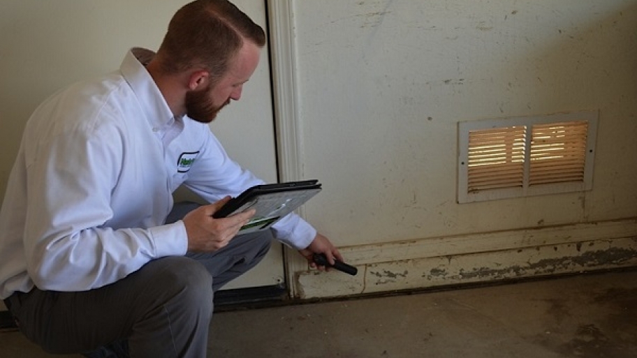 Man from MasterTech Pest Solutions looks for termites