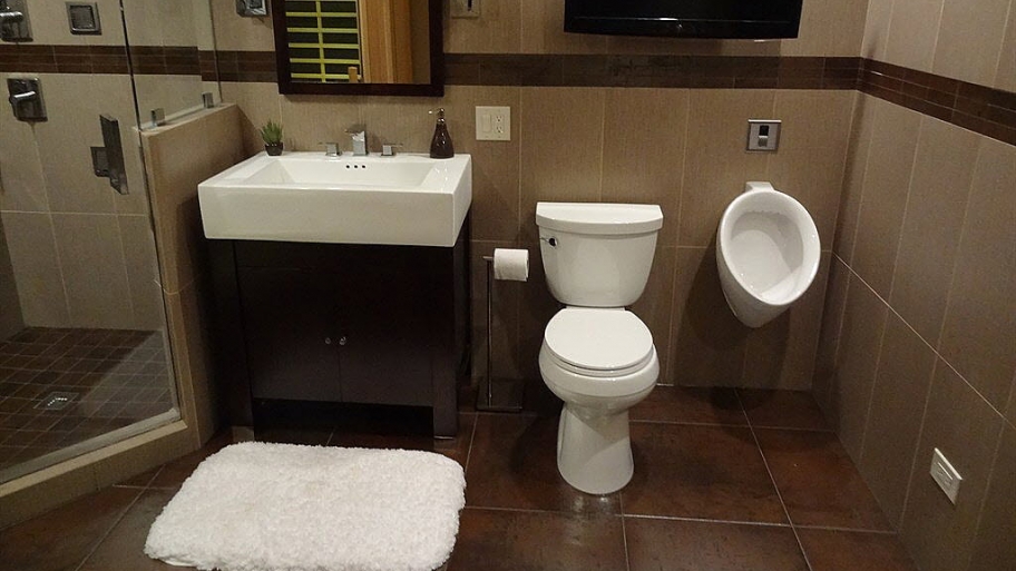 Bathroom with toilet and urinal