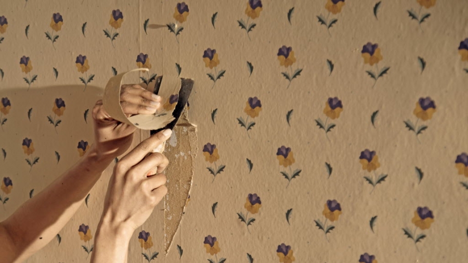 Wallpaper removal