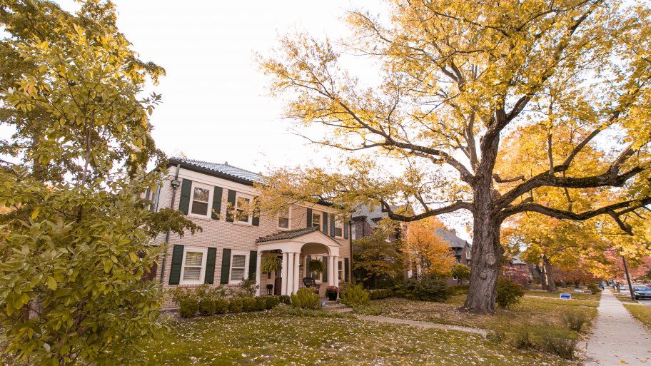 large tree in yard of old house