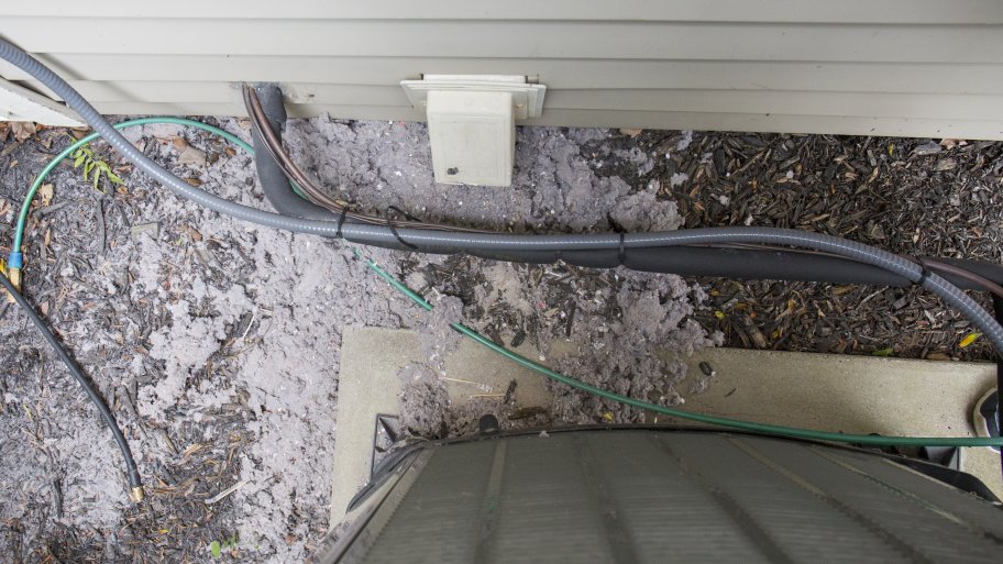 lint accumulating outside a dryer vent opening