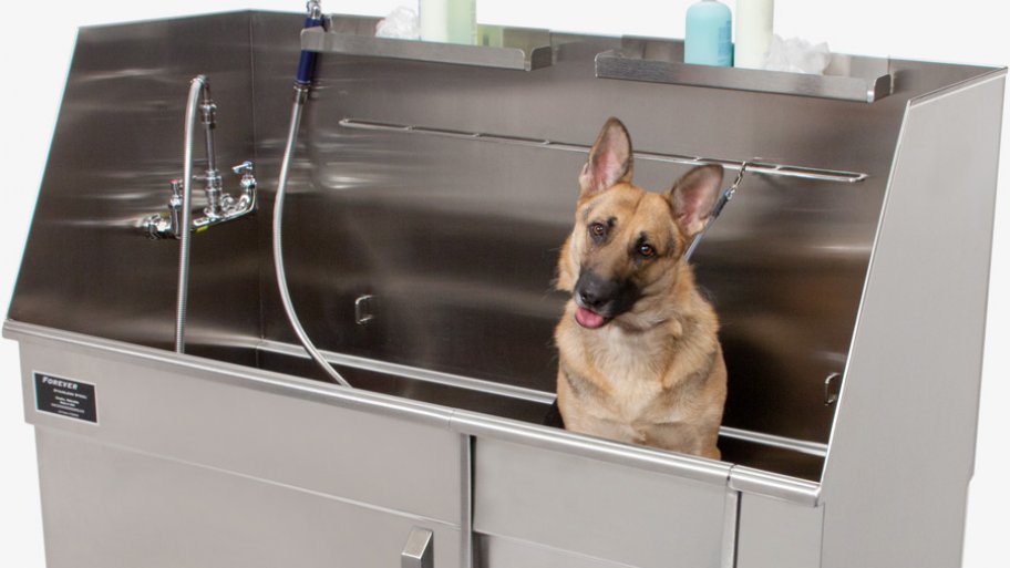 German shepherd in stainless steel dog tub