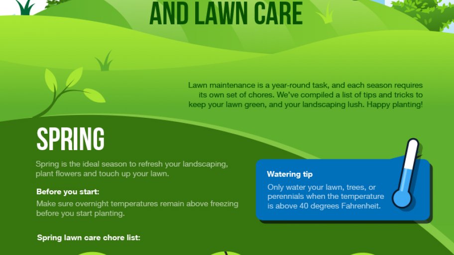 landscaping guide landscaping guide
