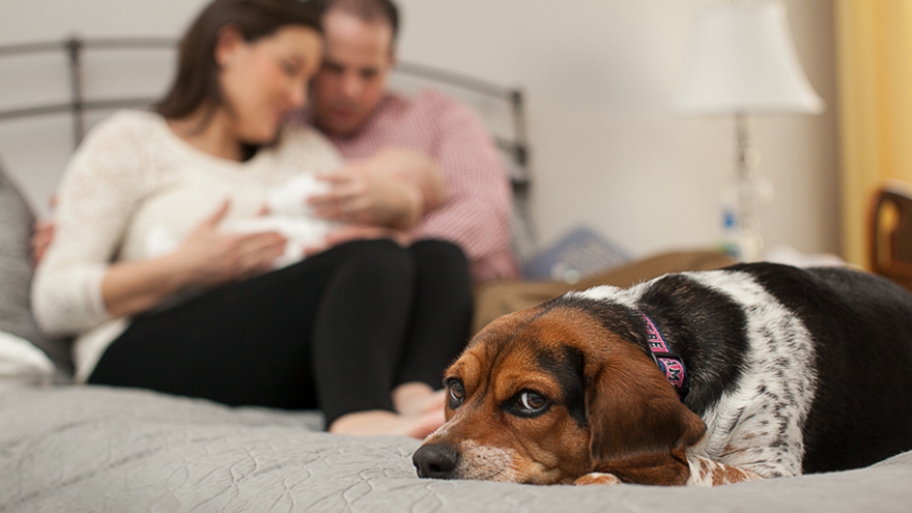 parents in bed with newborn and beagle