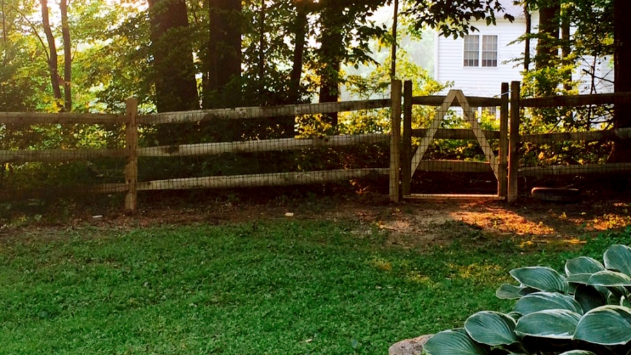 fence between yards