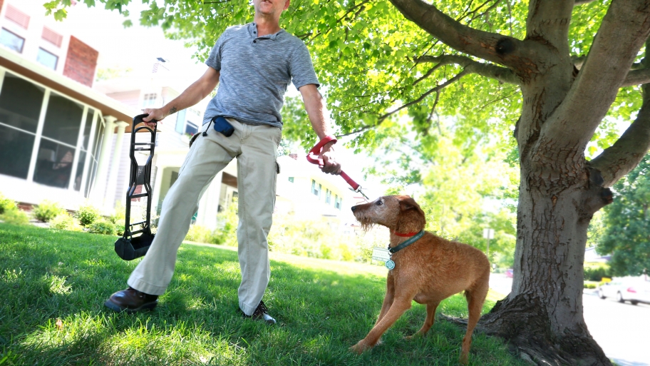 man with pooper scooper and dog