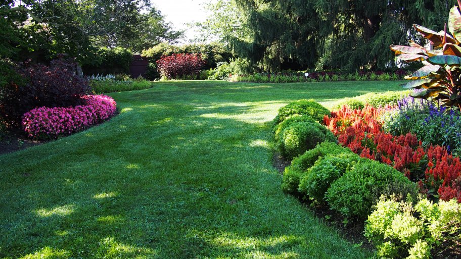 yard with flowers and trees