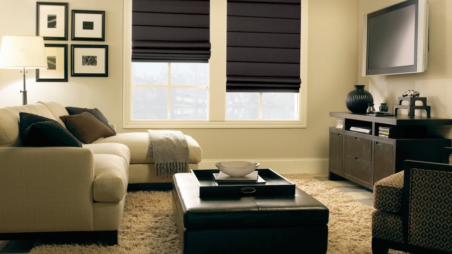 Roman shades window treatments