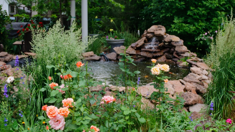 outdoor pond