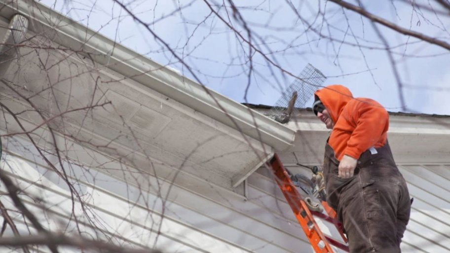 man on ladder removing animal from gutter on roof