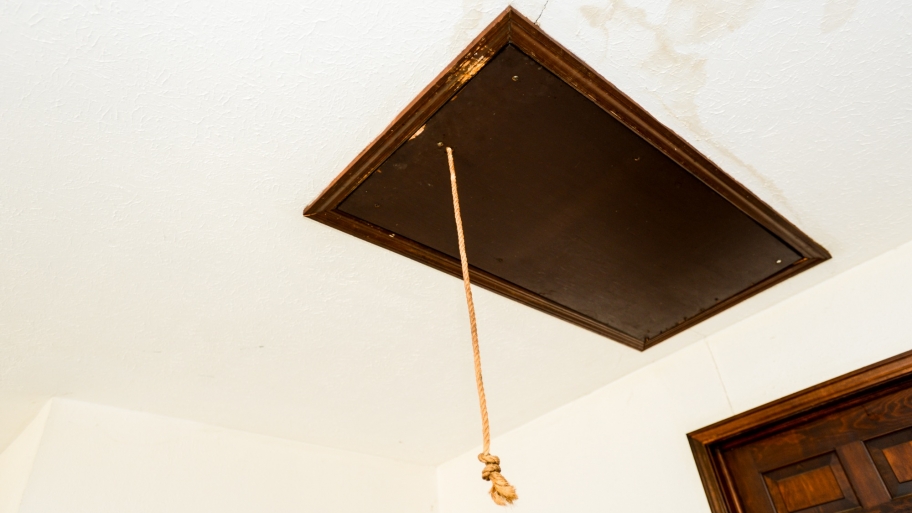 attic access door able to convert to room